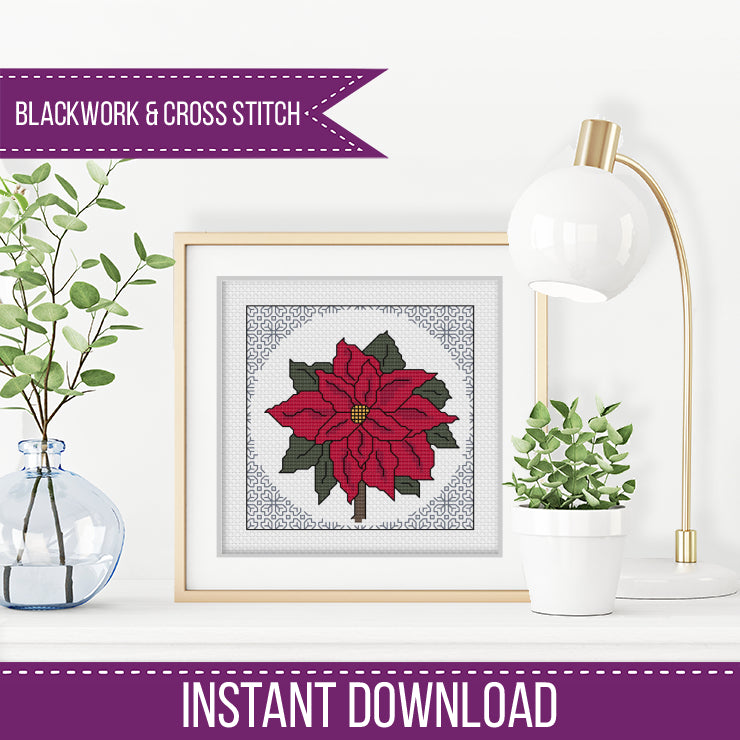 Centre Stage - Poinsettia